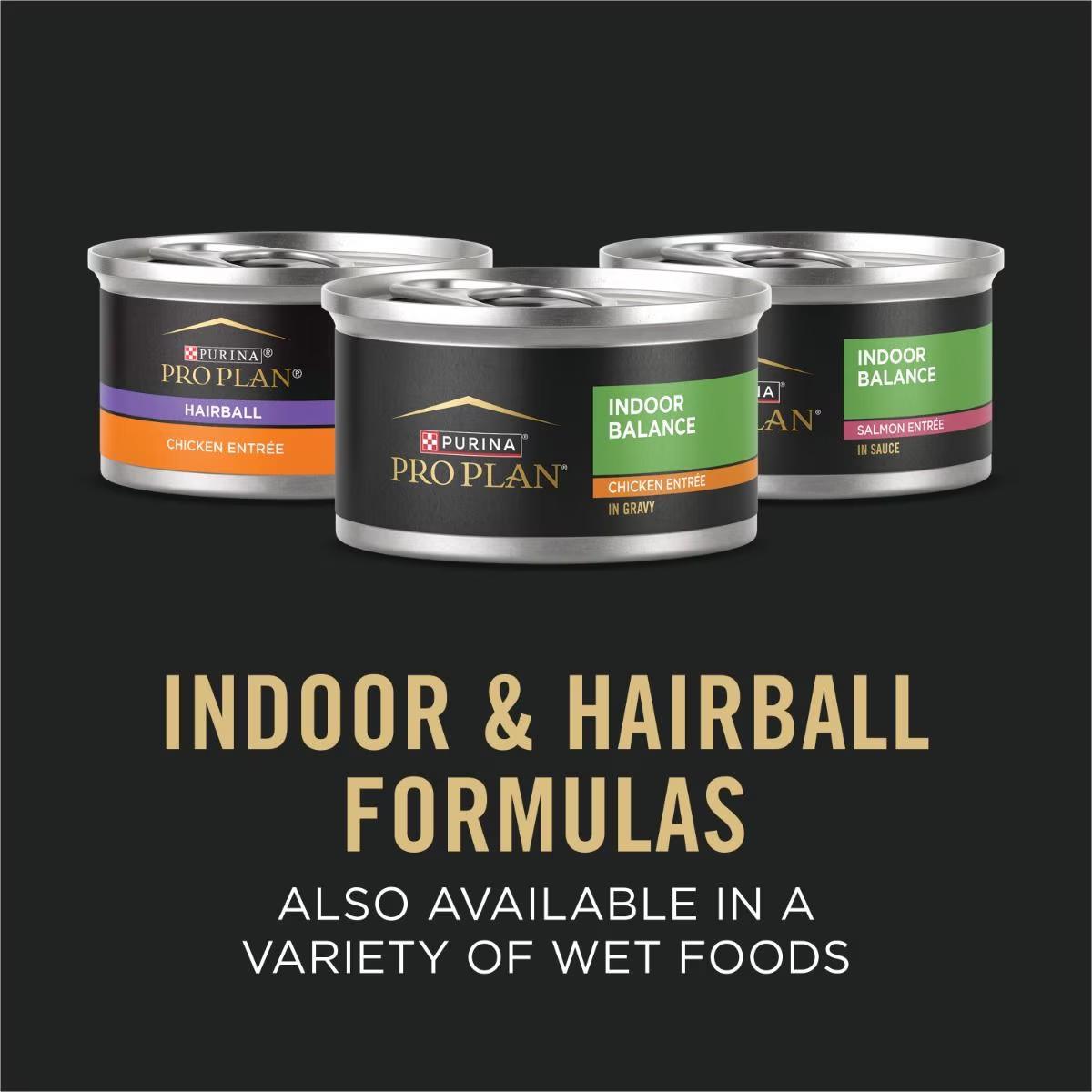 Adult Indoor Chicken & Rice Formula Dry Cat Food - Image 9