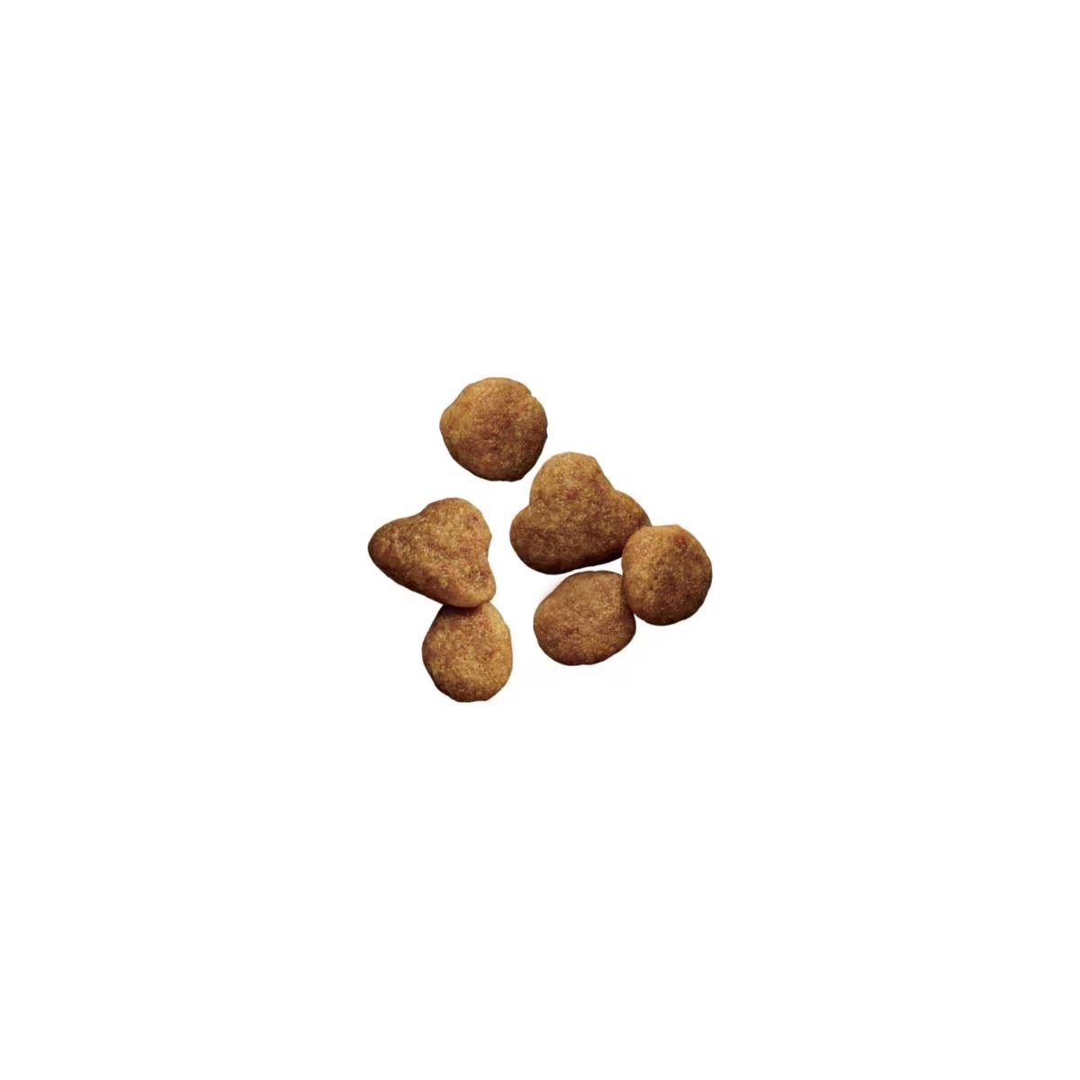 Adult Sensitive Skin & Stomach Salmon & Rice Formula Dry Cat Food - Image 2