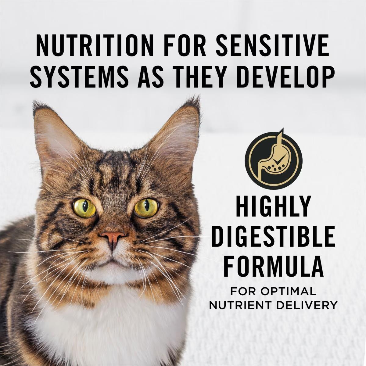 Adult Sensitive Skin & Stomach Salmon & Rice Formula Dry Cat Food - Image 3