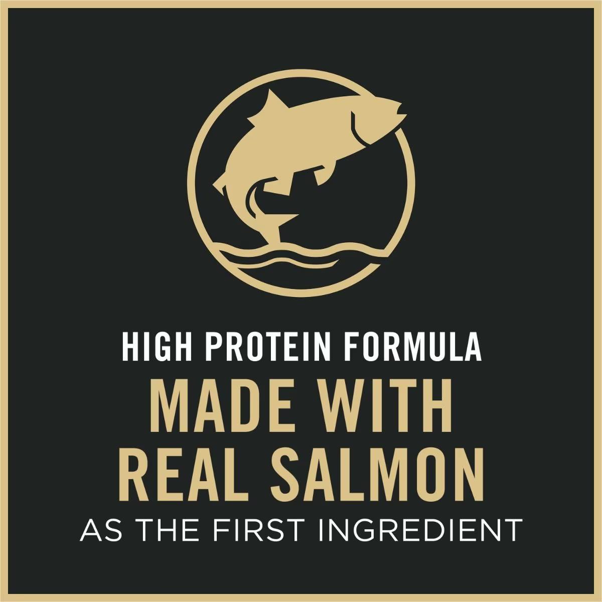 Adult Sensitive Skin & Stomach Salmon & Rice Formula Dry Cat Food - Image 4