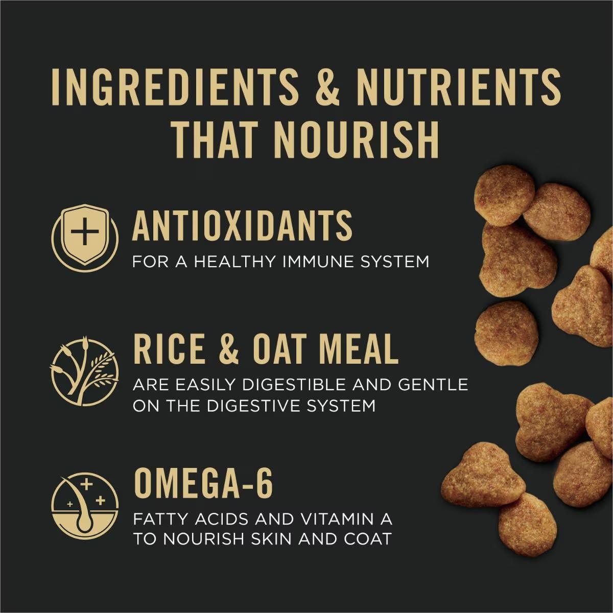 Adult Sensitive Skin & Stomach Salmon & Rice Formula Dry Cat Food - Image 6