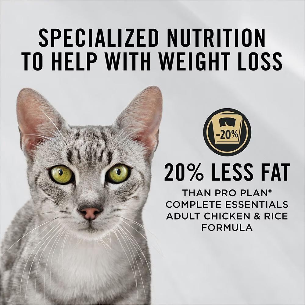 Adult Weight Management Chicken & Rice Formula Dry Cat Food - Image 3
