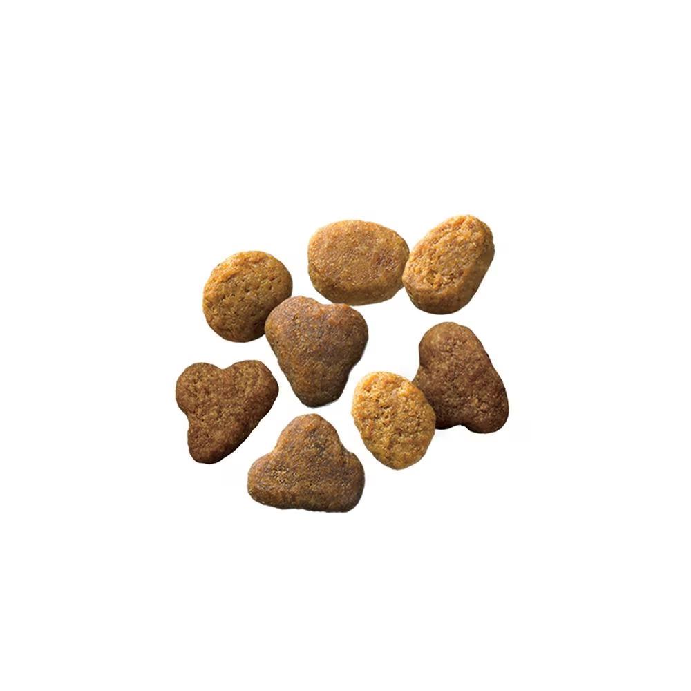 Complete Essentials Chicken & Rice Formula Dry Cat Food - Image 2