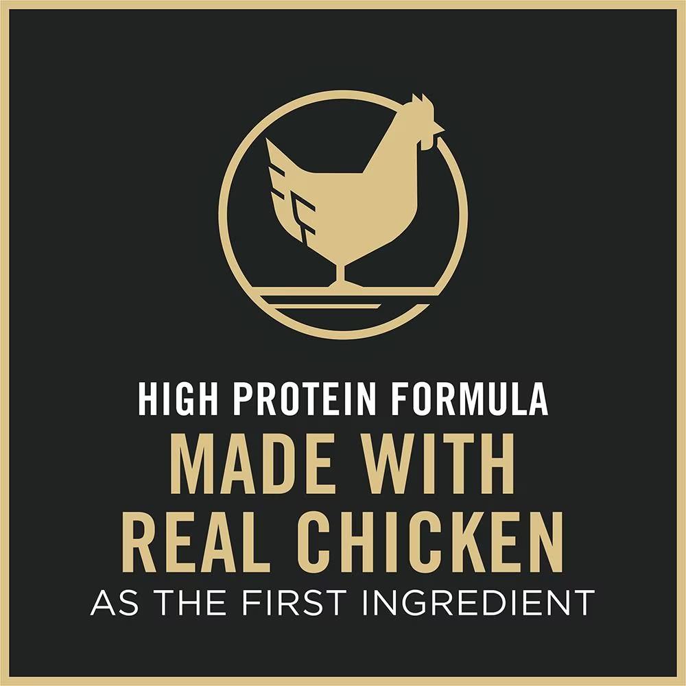 Complete Essentials Chicken & Rice Formula Dry Cat Food - Image 5