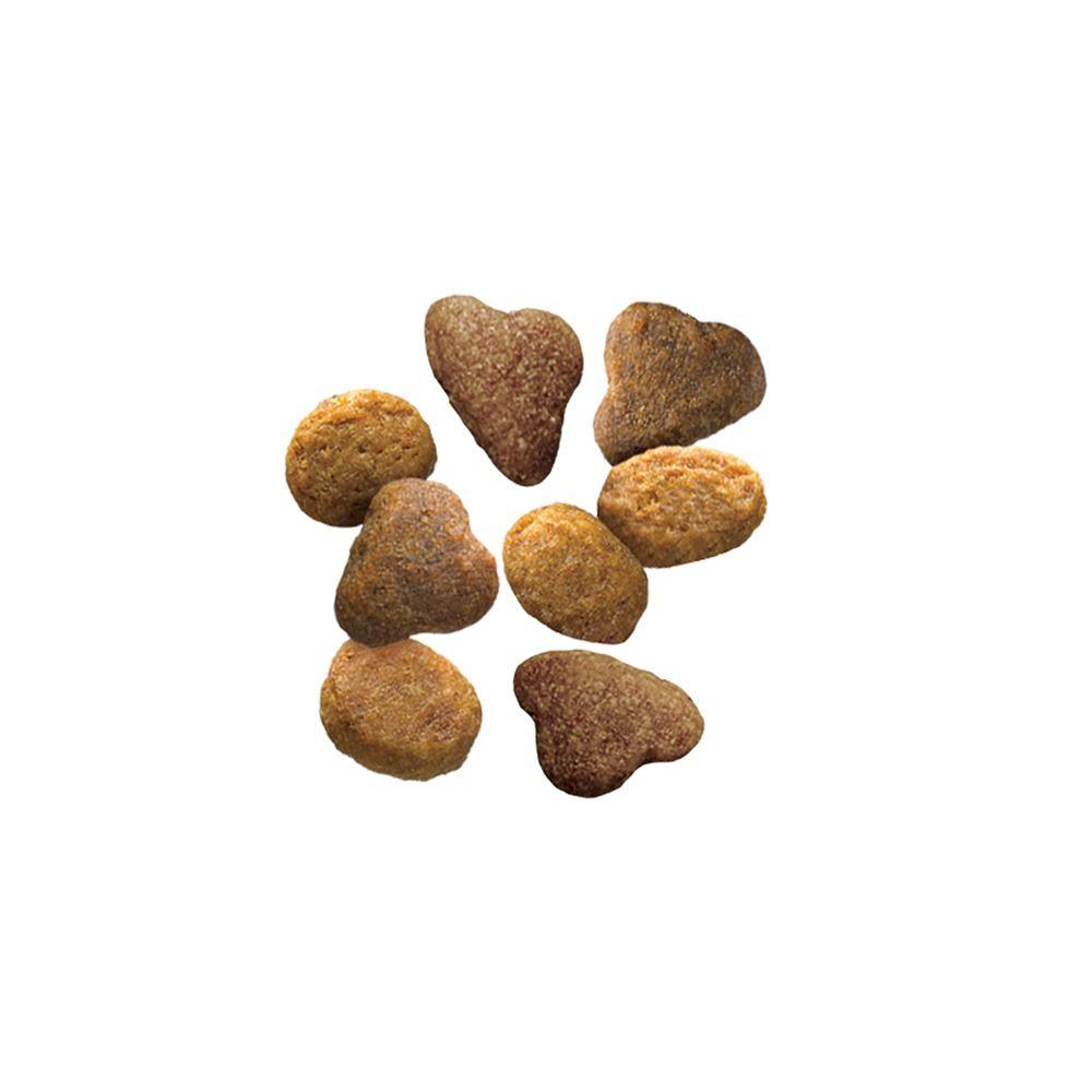 Complete Essentials Salmon & Rice Formula Dry Cat Food - Image 2