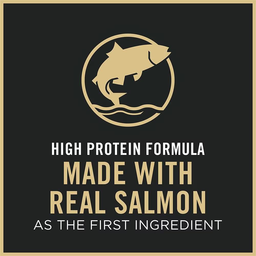 Complete Essentials Salmon & Rice Formula Dry Cat Food - Image 5