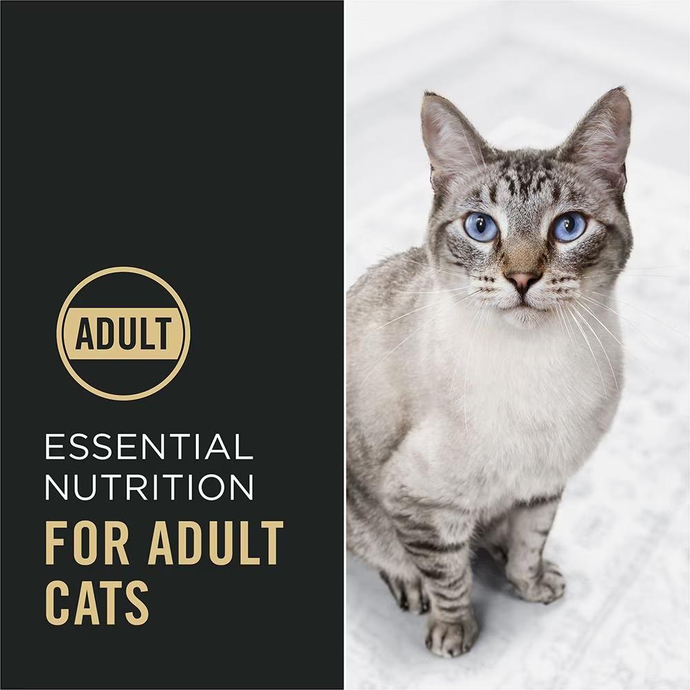 Complete Essentials Salmon & Rice Formula Dry Cat Food - Image 7