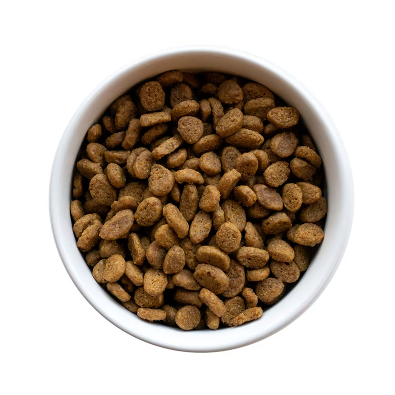 LiveClear Adult Sensitive Skin & Stomach Turkey and Oatmeal Allergen Reducing Dry Cat Food - Image 2