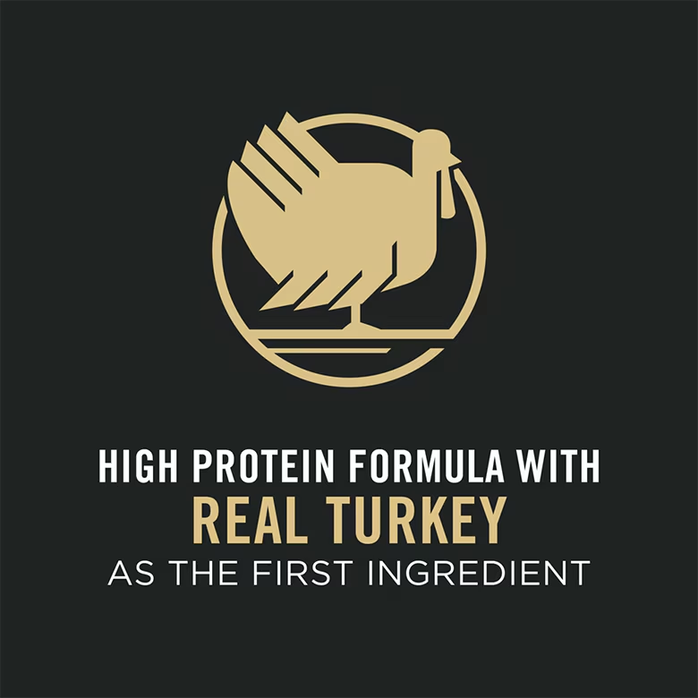LiveClear Adult Sensitive Skin & Stomach Turkey and Oatmeal Allergen Reducing Dry Cat Food - Image 6