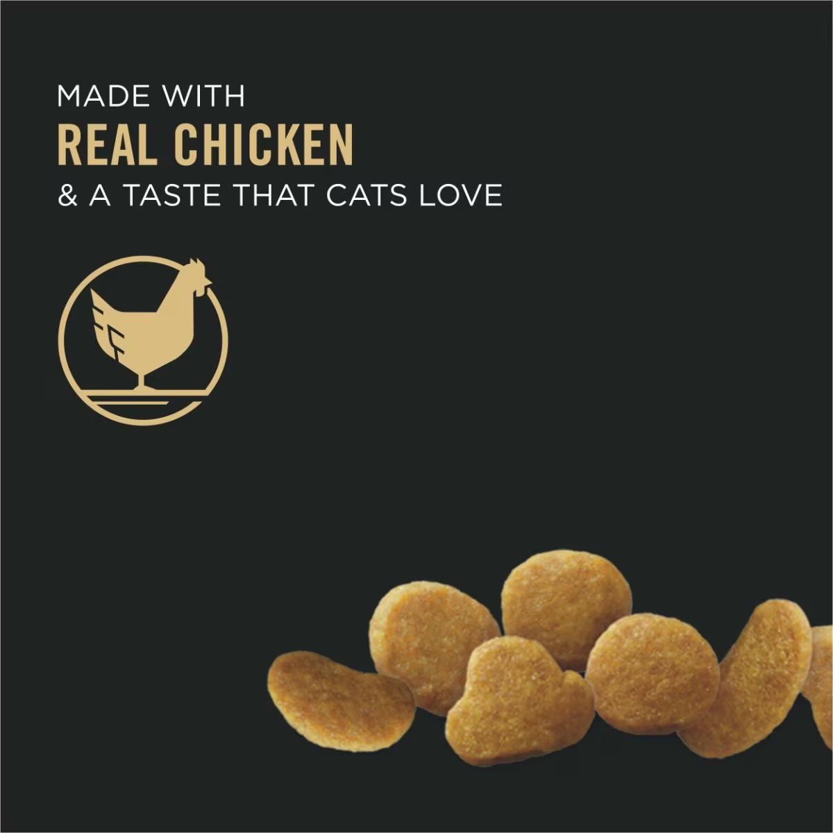 Urinary Tract Cat Food, Chicken and Rice Formula - Image 2