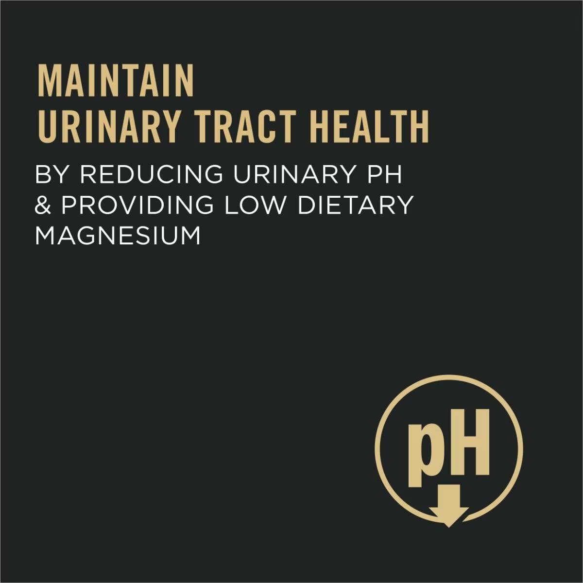 Urinary Tract Cat Food, Chicken and Rice Formula - Image 7