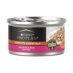 Complete Essentials Salmon & Rice Wet Cat Food