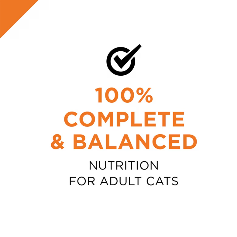 Complete Essentials Turkey & Vegetables in Gravy Wet Cat Food - Image 9