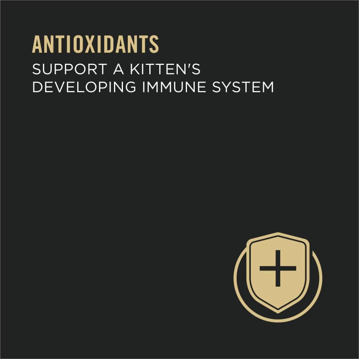 Development Chicken & Liver Wet Kitten Food - Image 7