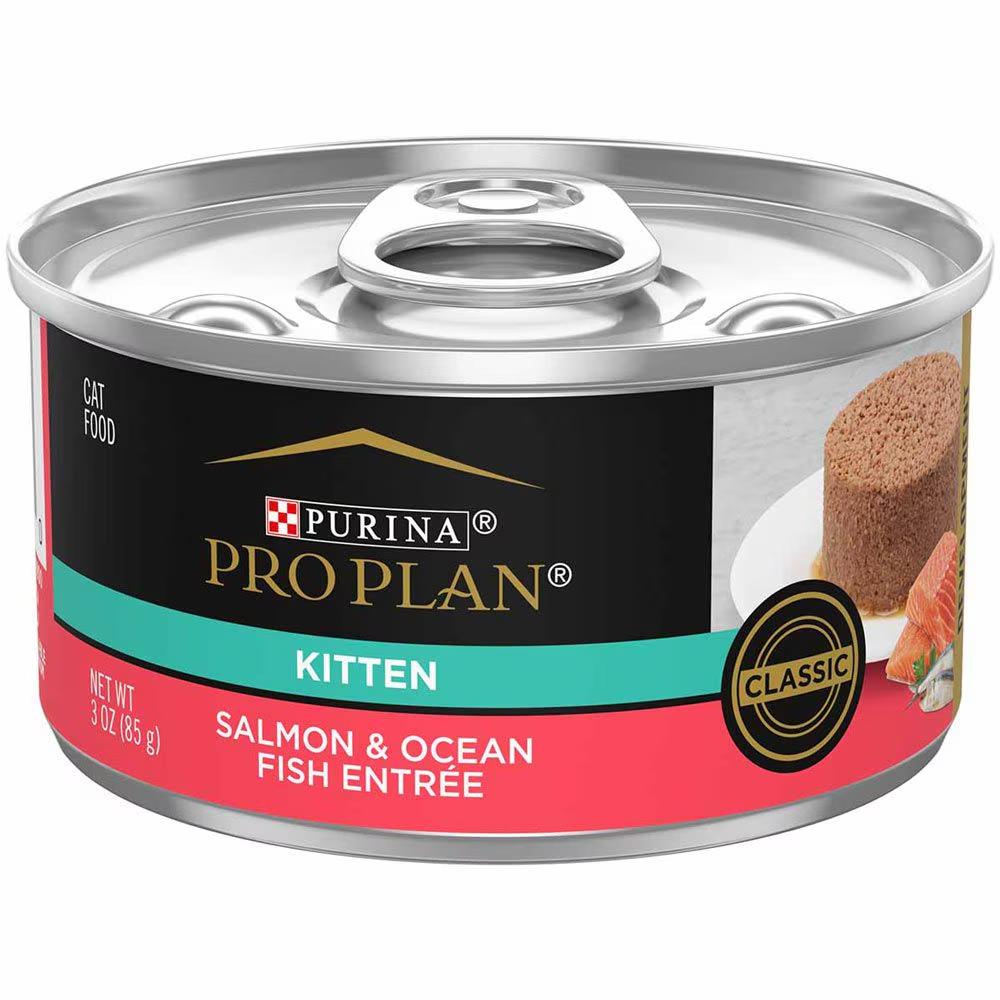 High Protein Wet Kitten Food Variety Pack 24 Count - Image 2
