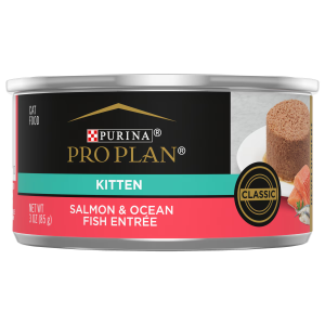 Wet Kitten Food Pate, Salmon and Ocean Fish Entree