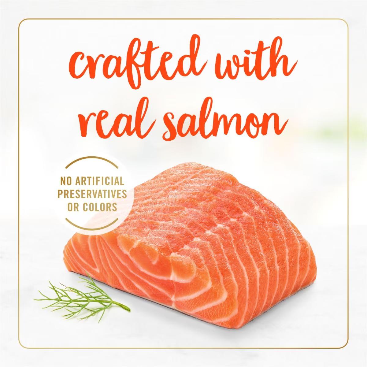 Classic Paté Savory Salmon Gourmet Wet Cat Food - Image 2