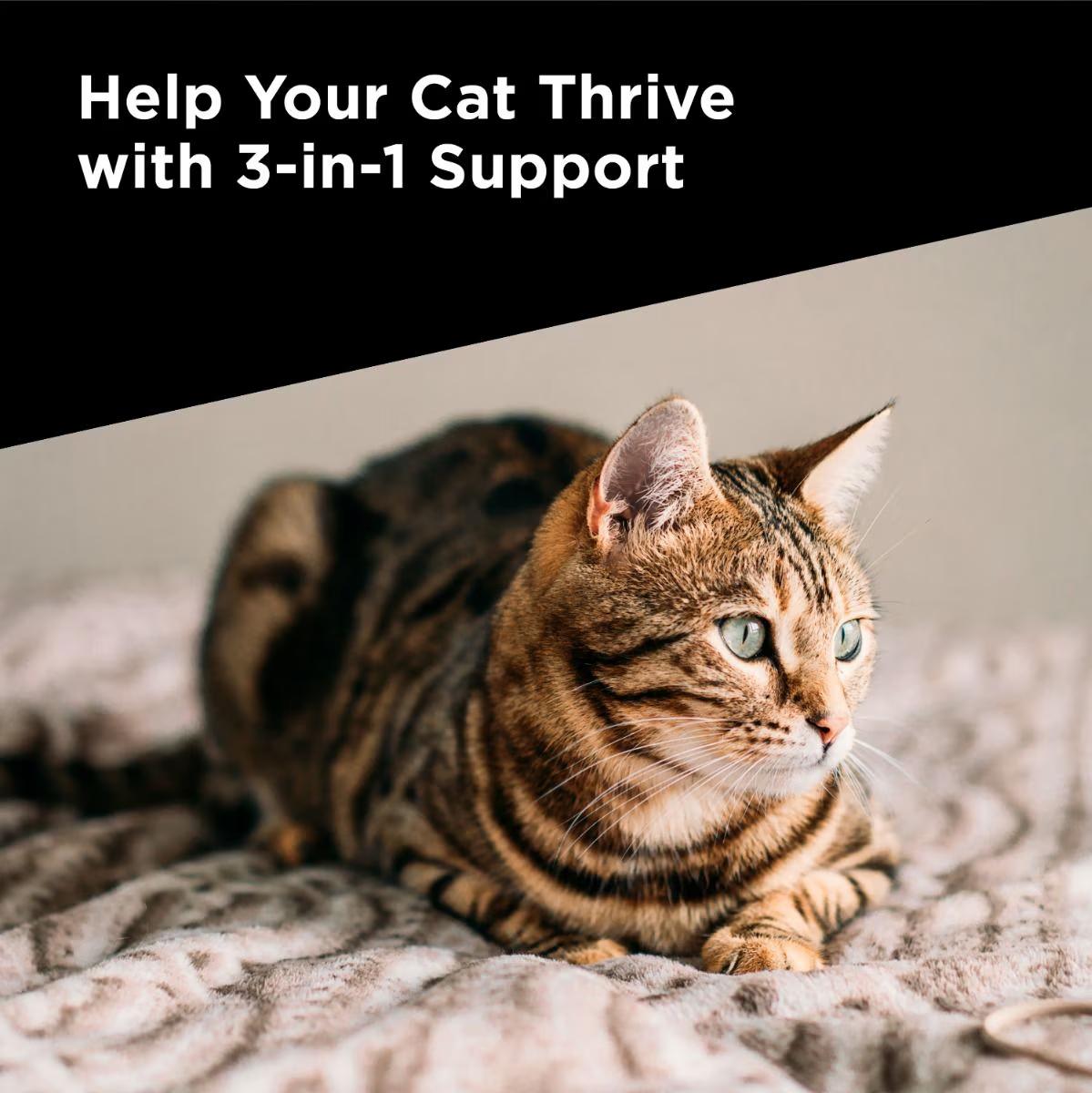 Multi Care Feline Health Supplement - Image 11
