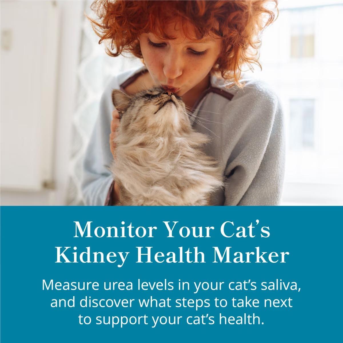 Petivity At-Home Kidney Health Test for Cats - Image 3