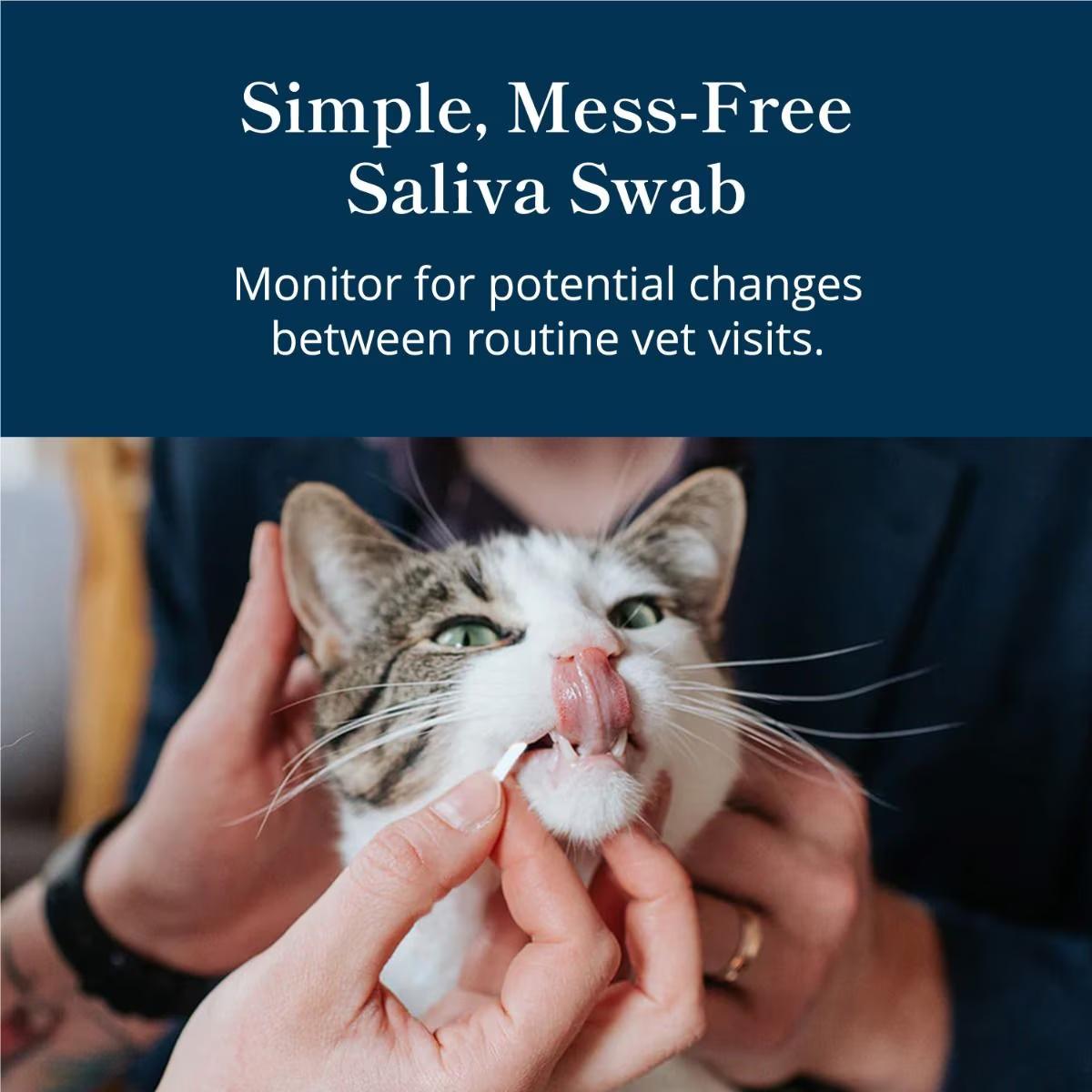 Petivity At-Home Kidney Health Test for Cats - Image 4