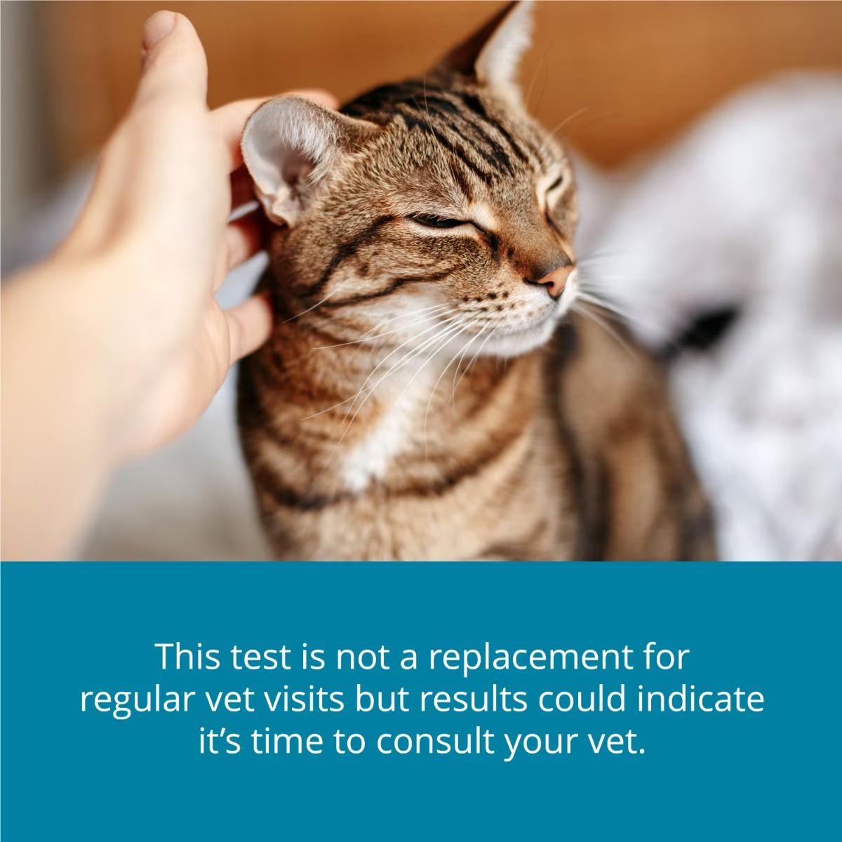Petivity At-Home Kidney Health Test for Cats - Image 5